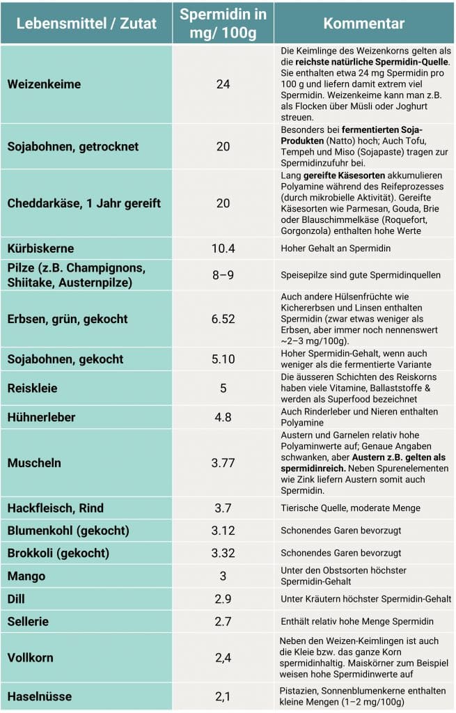 Spermidin Lebensmittel Tabelle