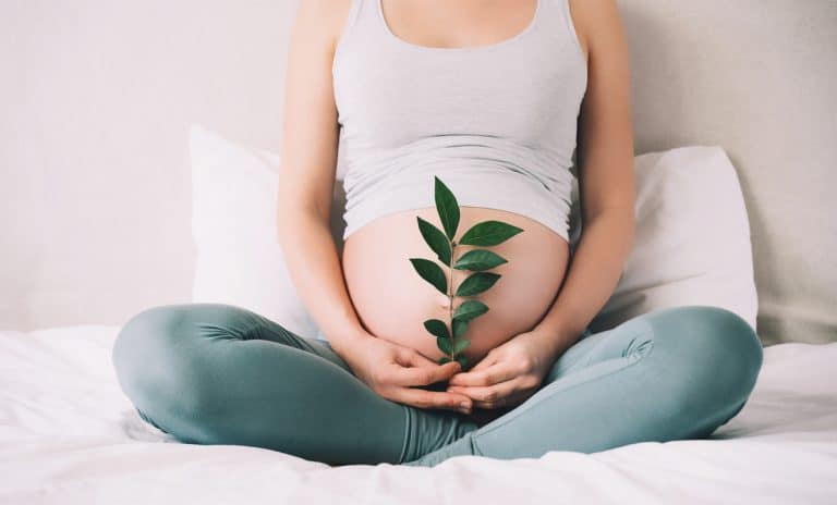 Schwangere Frau hält grünen Zweig. Q10 könnte oxidativen Stress reduzieren und für eine erfolgreiche Schwangerschaft sorgen